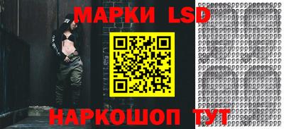 стафф Камышлов