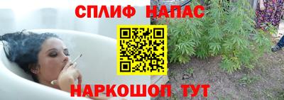 ешки Канаш