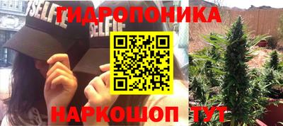 стафф Камышлов