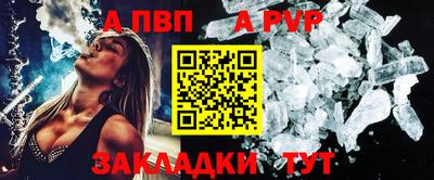 стафф Камышлов
