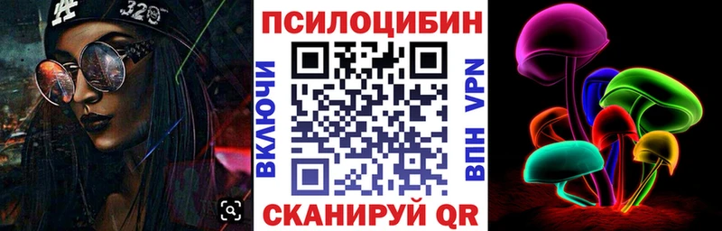закладки Мценск Псилоцибиновые грибы Psilocybe