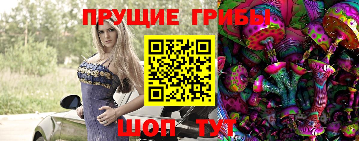 Псилоцибиновые грибы прущие грибы  Мценск 