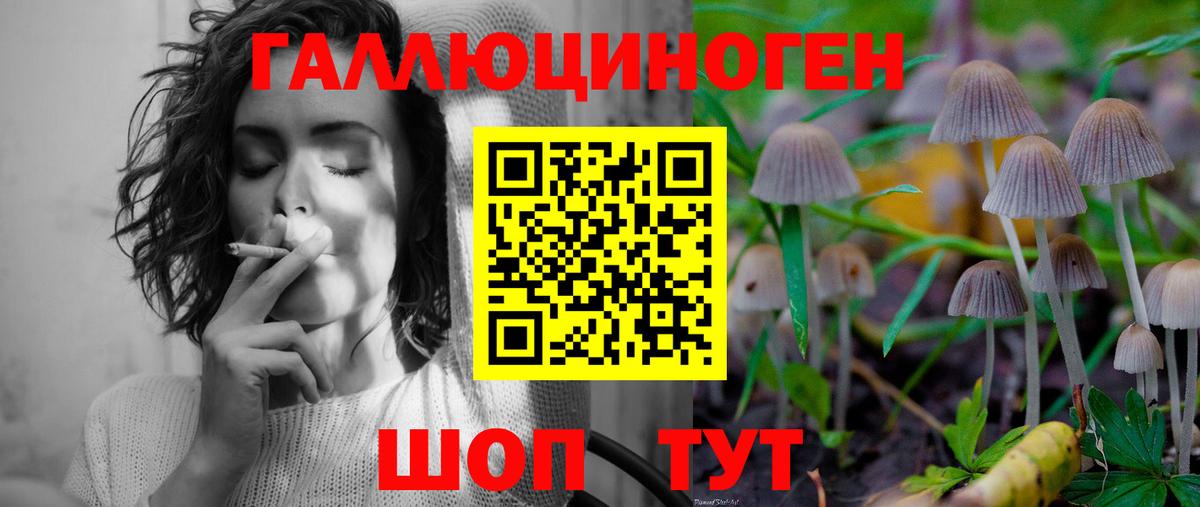 Галлюциногенные грибы Psilocybine cubensis Мценск